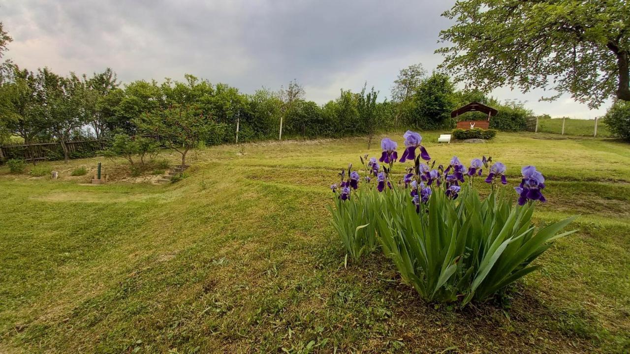 Vadaszles Vendeghaz Bukkszentmarton Buitenkant foto