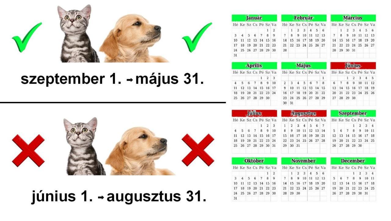 Vadaszles Vendeghaz Bukkszentmarton Buitenkant foto
