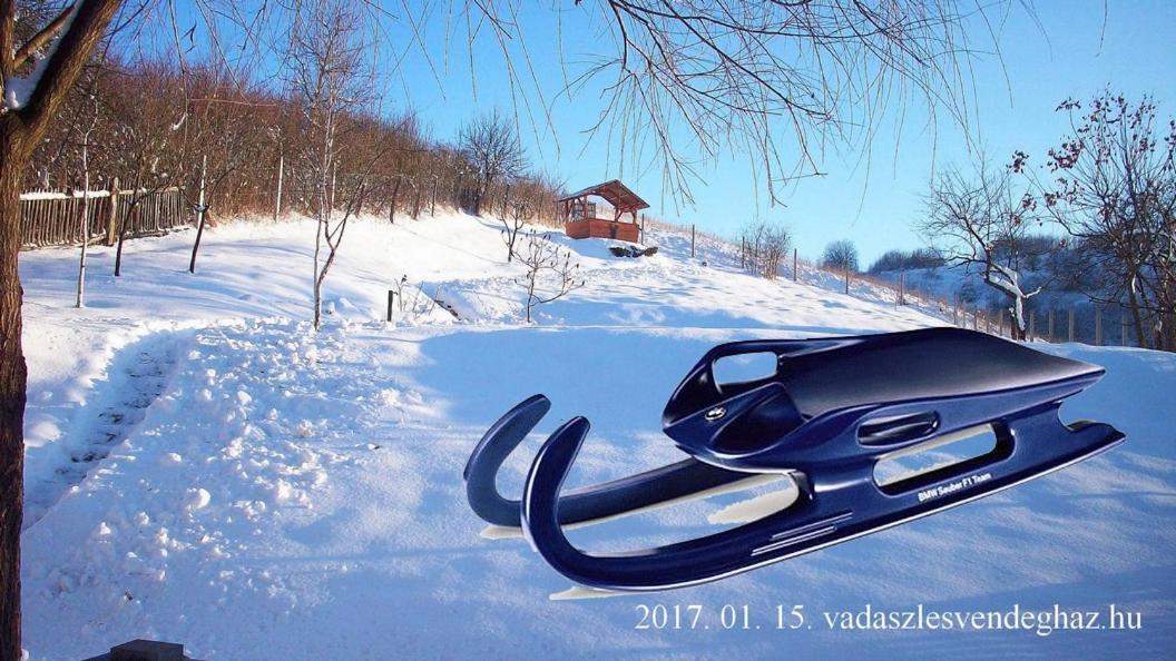 Vadaszles Vendeghaz Bukkszentmarton Buitenkant foto